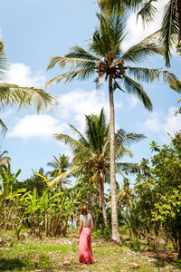 Rear view of young woman standing amidst trees against sky in park