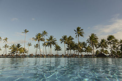 Palm trees by swimming pool against sky