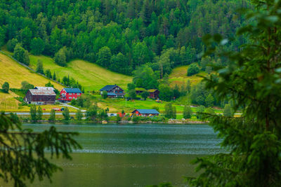 Scenic view of lake against trees