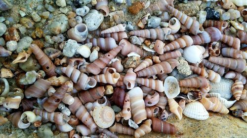 Full frame shot of stones