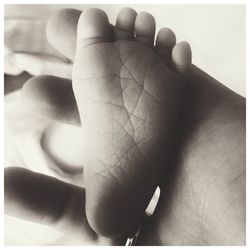 Close-up of human hand holding leaf