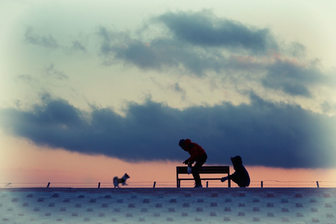 sky, cloud - sky, leisure activity, lifestyles, silhouette, cloudy, full length, men, togetherness, cloud, sunset, weather, nature, low angle view, overcast, animal themes, outdoors