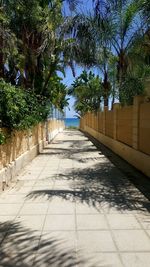 Empty footpath by palm trees against sky
