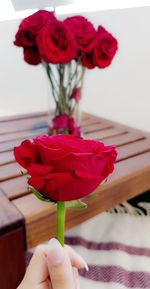 Close-up of hand holding bouquet of red rose