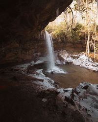 Scenic view of waterfall in forest