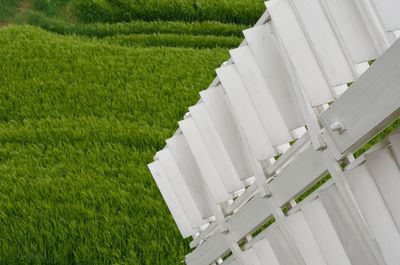 High angle view of agricultural field