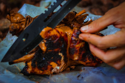 Close-up of person preparing food