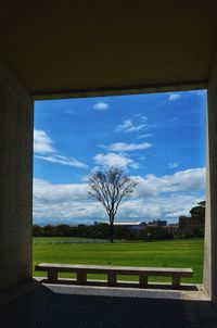 Trees on field against sky seen through window