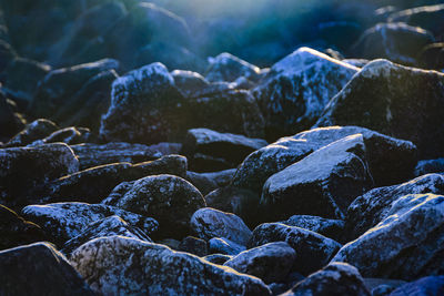 Close-up of stones on rocks