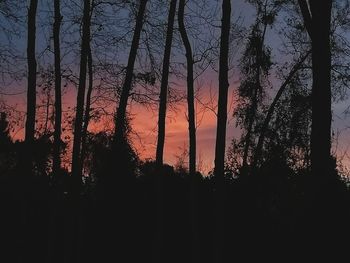 Silhouette trees in forest against romantic sky at sunset