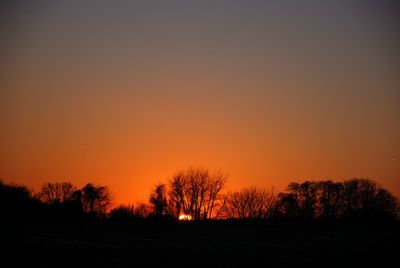 Silhouette trees against orange sky
