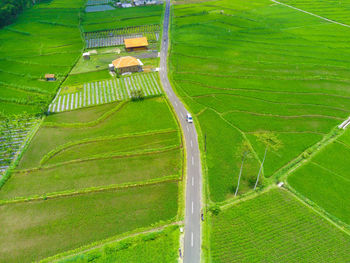 High angle view of agricultural field