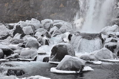 View of sheep on rock