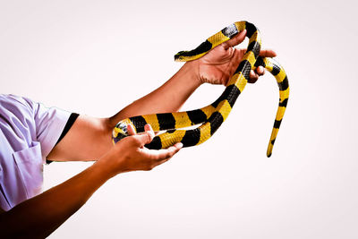 Midsection of woman holding hands over white background