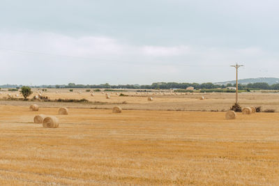 View of hay bales on field against sky