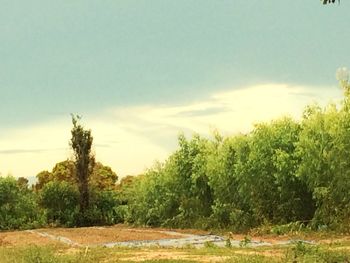 Scenic view of landscape against sky