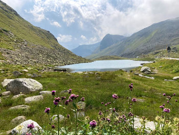 Scenic view of field against sky