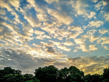 Low angle view of silhouette trees against sky