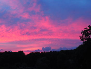 Silhouette trees against sky during sunset