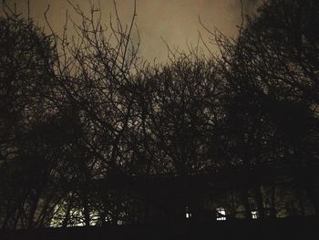 Silhouette trees against sky at night