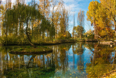 Scenic view of lake in forest during autumn