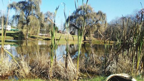 Reflection of trees in lake against sky