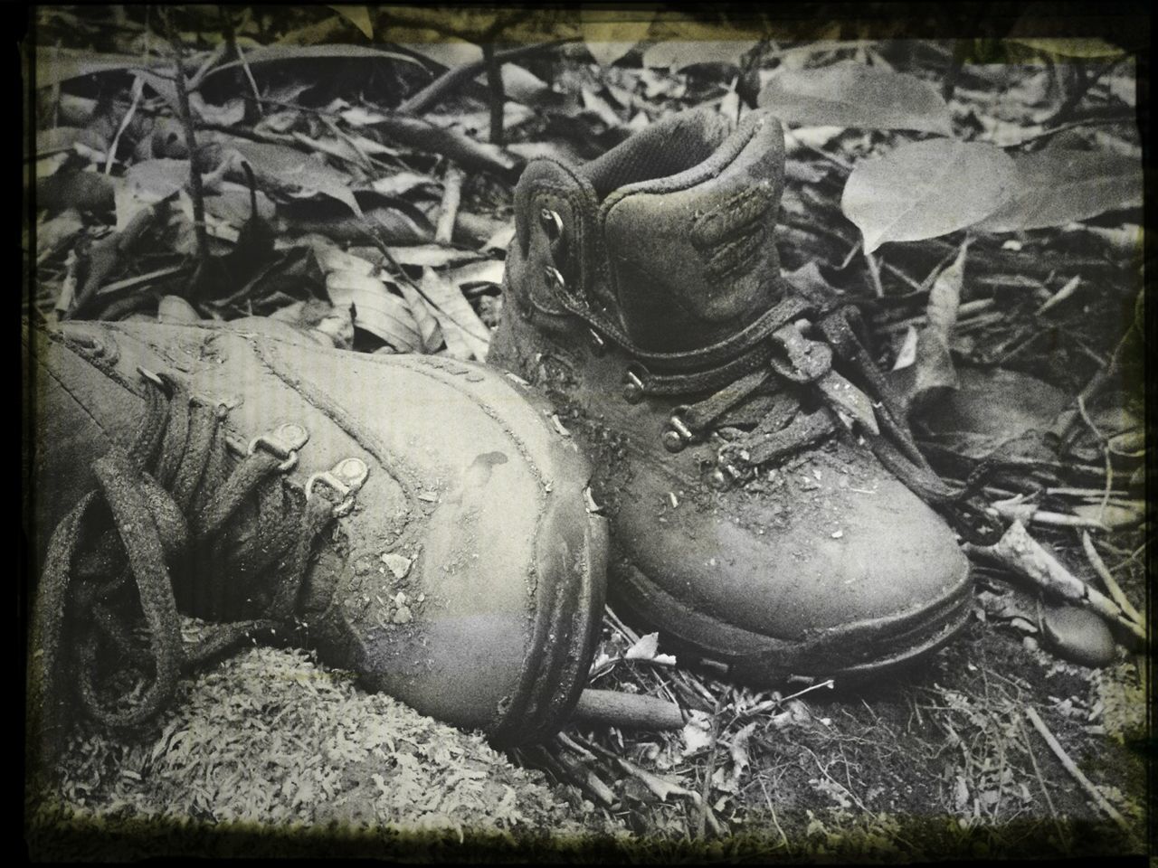 transfer print, auto post production filter, abandoned, field, obsolete, damaged, old, deterioration, high angle view, run-down, grass, outdoors, close-up, firewood, no people, day, dirty, dirt, heap, the end