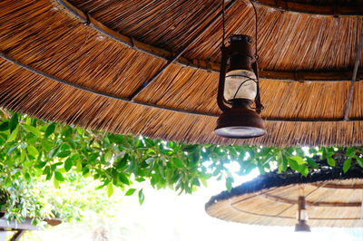 Low angle view of electric lamp hanging on wood