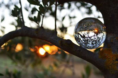 Close-up of illuminated light bulb