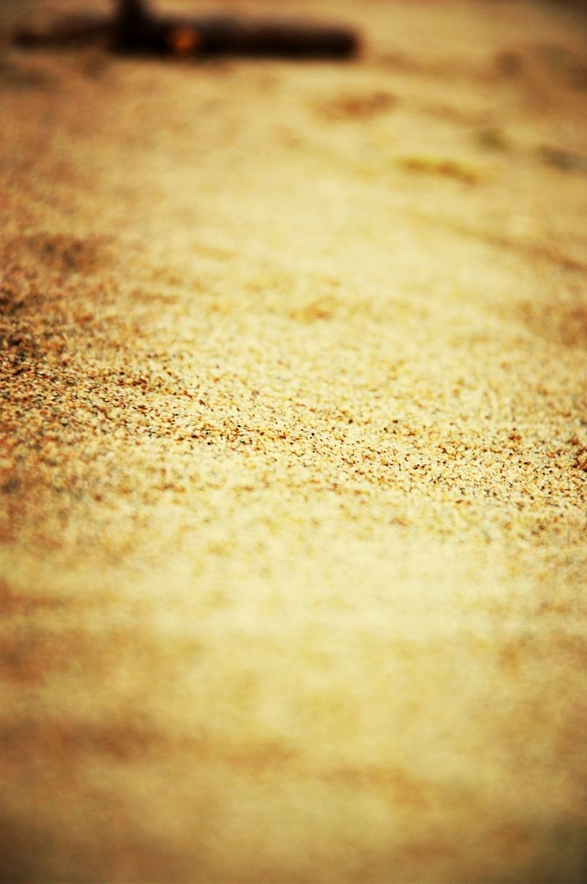 selective focus, surface level, close-up, textured, sand, brown, full frame, backgrounds, beach, no people, nature, focus on foreground, day, sunlight, rough, pattern, outdoors, natural pattern, high angle view, detail