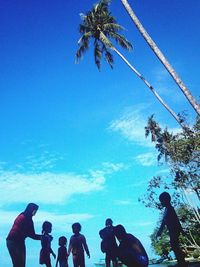 Silhouette of trees against blue sky