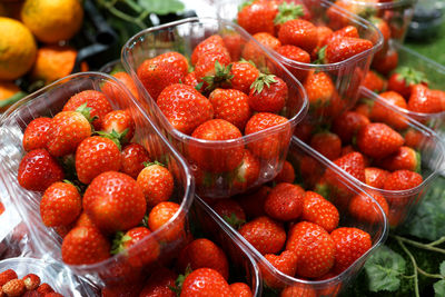 Fresh fruits for sale at market stall