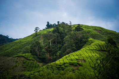 Scenic view of mountains against cloudy sky