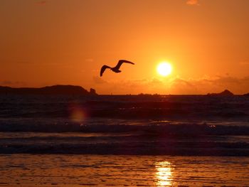 Silhouette bird flying over sea against sky during sunset