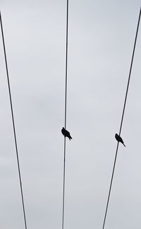 Low angle view of electricity pylons against sky