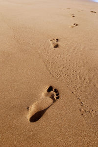 Foot print on beach during sunset. sand on summertime