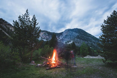 Bonfire by trees in forest against sky