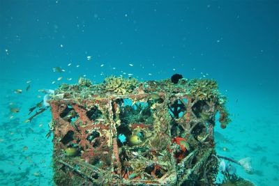 Using used goods for artificial coral reefs