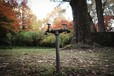 Faucets on field during autumn