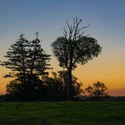 Silhouette trees on field against sky during sunset