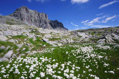 Scenic view of rocky mountains against blue sky