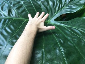 Cropped hand of man over wet leaf
