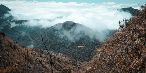 Scenic view of land and mountains