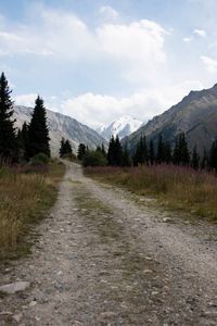 Road amidst landscape against sky