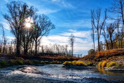 Scenic view of river amidst trees against sky