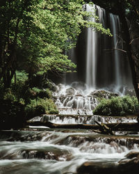 Scenic view of waterfall in forest