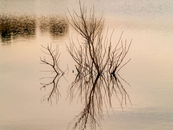 Scenic view of lake against sky at sunset