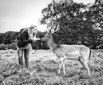 Young woman feeding stag on field