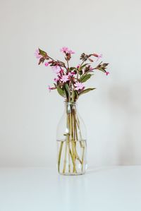 Close-up of pink flower vase on table against white background