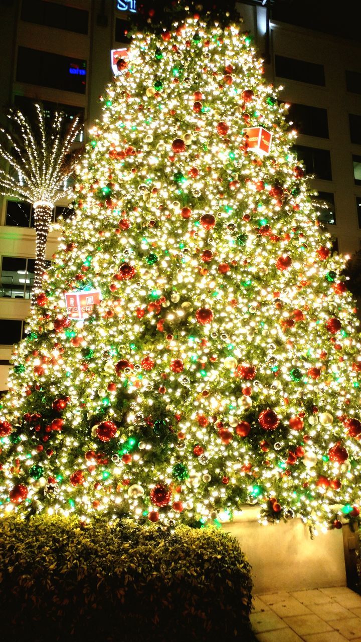 CHRISTMAS TREE IN ILLUMINATED BUILDING